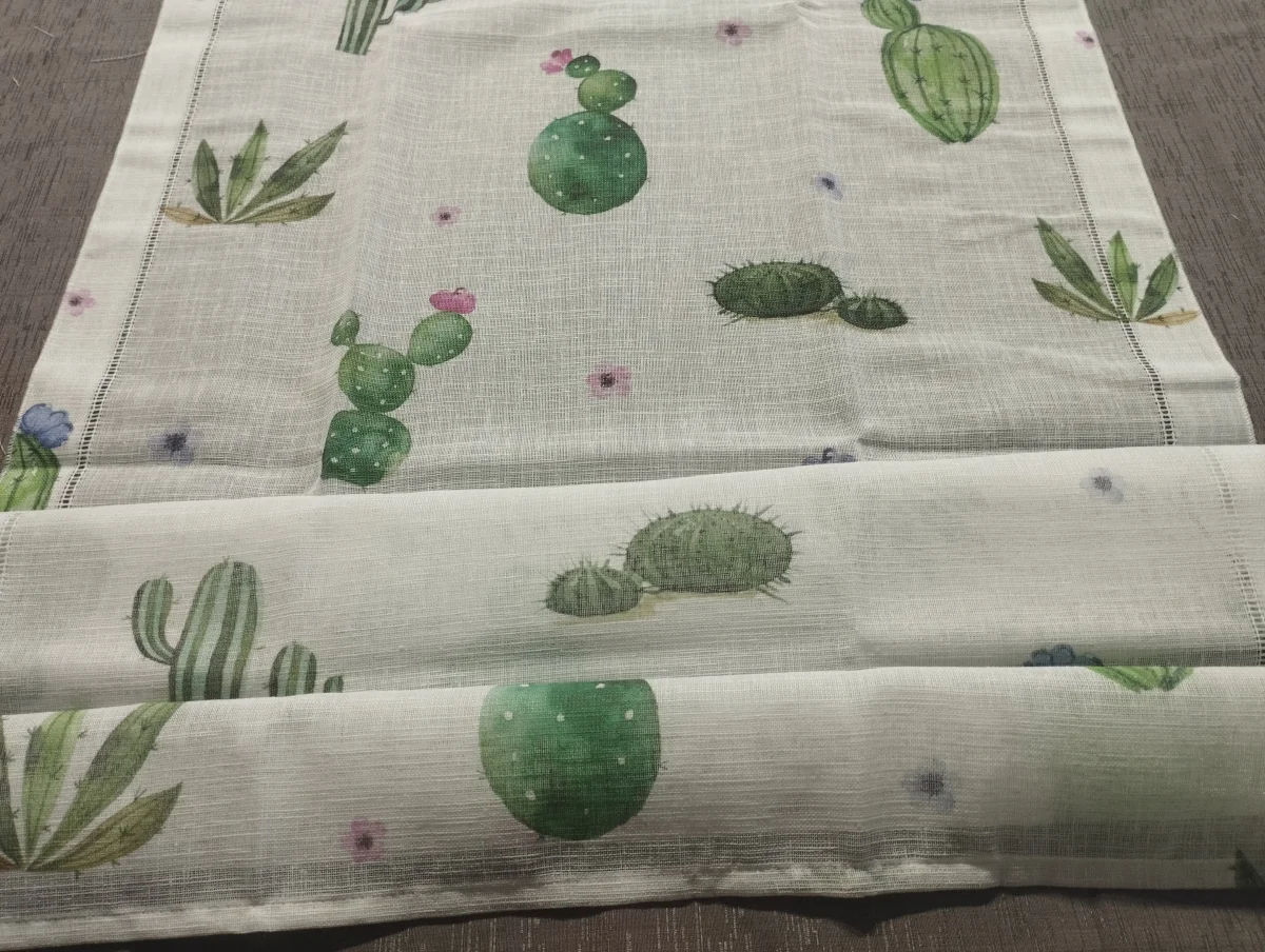  Zoe cactus